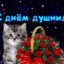 офф