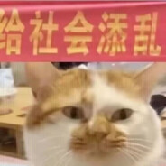 纯情男大18岁离婚带两娃