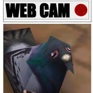 Orange's avatar