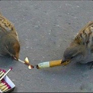 Lulle