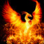 PhoenixRisen