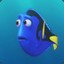 Dory