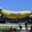 The Big Banana