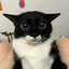 Avatar of honeydiskas