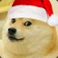 Flounce Jr. | Elf Doge