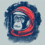 space monkey