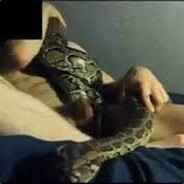 ssssssssssss