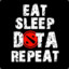 SLEEP  REPEAT