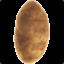 Jared The Potato