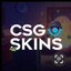 pajo222 CSGOSKINS