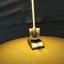 TheGoldenToiletbrush