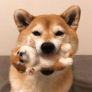 残局手抖得厉害