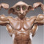 Gym Bro Dobby