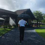 我一拳打死铁拳的马