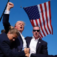 知否知否，应是CSGO