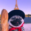 PugGam3erp