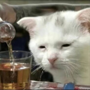 我们这里是酒吧