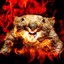 Flaming Wombat