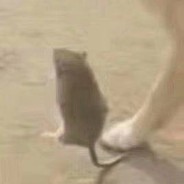 别动的我小盒子