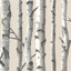 birch avatar