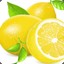 Lemon-Lin