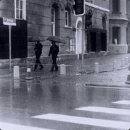 潇洒帅气小豆豆