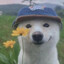 =)