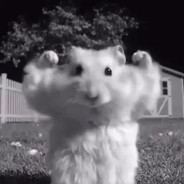 killachinchilla67