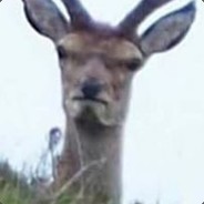 Furious Deer