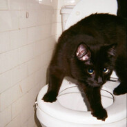 ♥Вероника♥