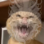 做最优质的战士