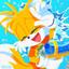 Tails The Fox