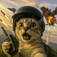 迷人的帅气先生