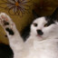 Kittler
