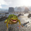 Frog_Matvey