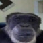 chadman