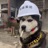 有问题联系克服