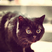 大可想玩啥就玩啥