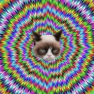 鼠鼠我啊~又杀疯喽