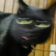 奈何明月照沟渠