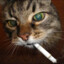 TheSmokingCat