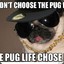 PUGLIFE