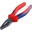 пасасиже