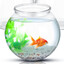 fishbowl