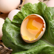 加我领免费鸡蛋