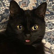 L_Jack