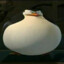 Fat Penguin