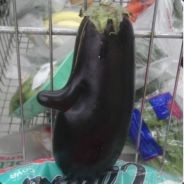 =FAZE= Fernandinho the Eggplant