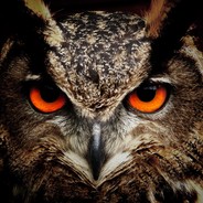 OwLNoise