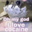 Coke addict Chris